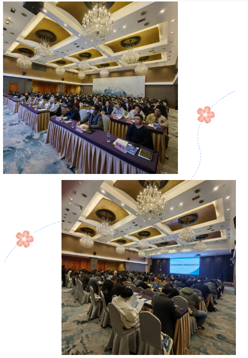 1705642328527303.png 1705642320945.png